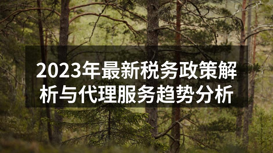 2023年最新税务政策解析与代理服务趋势分析